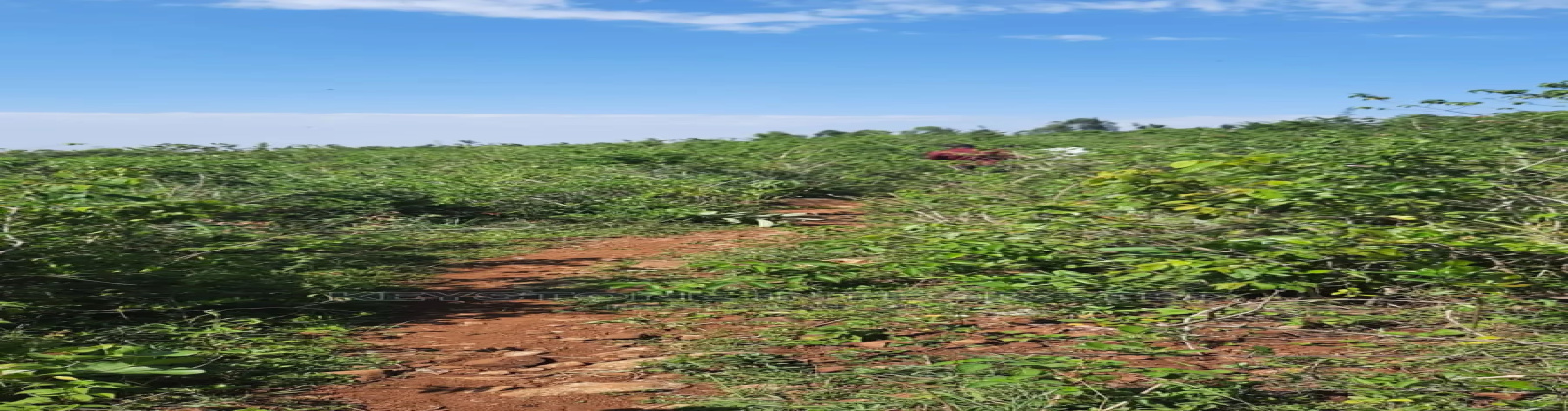 Riat, ,Land,For Sale,1012