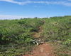 Riat, ,Land,For Sale,1012