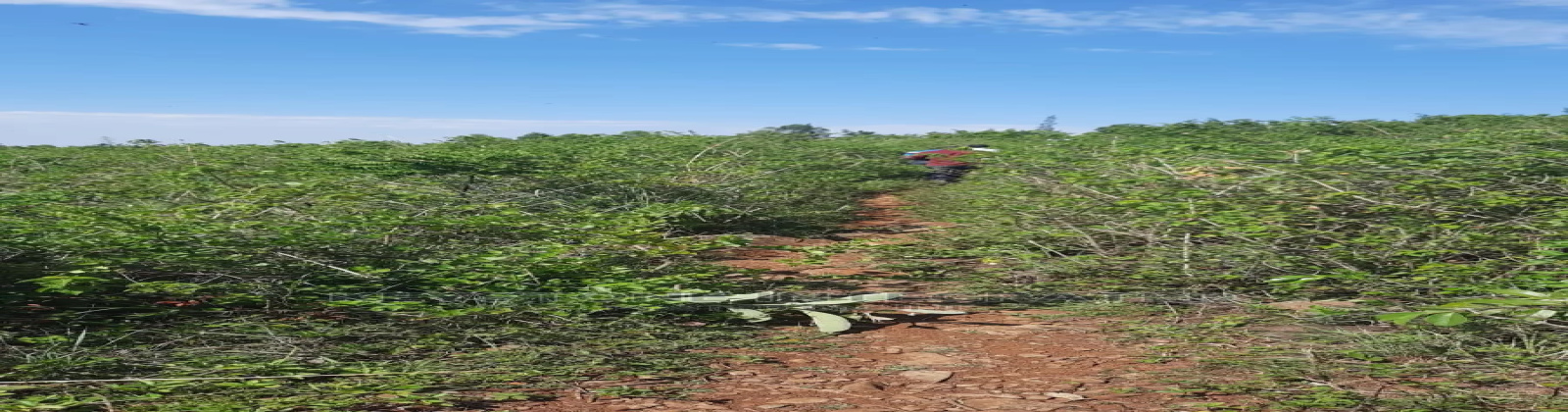 Riat, ,Land,For Sale,1012