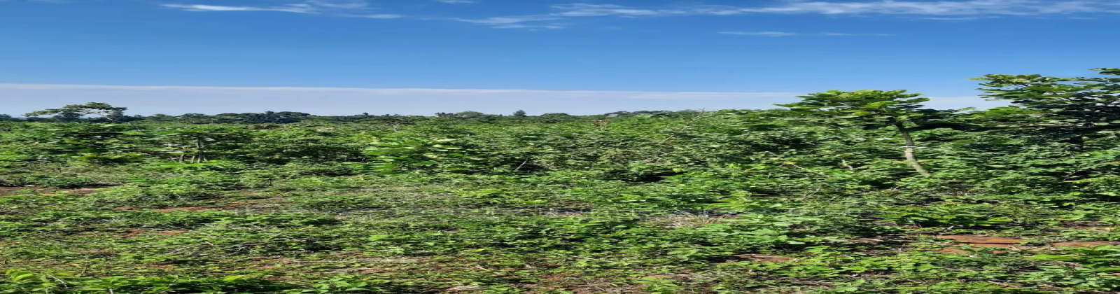 Riat, ,Land,For Sale,1012