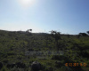 Kona Baridi, ,Land,For Sale,1014