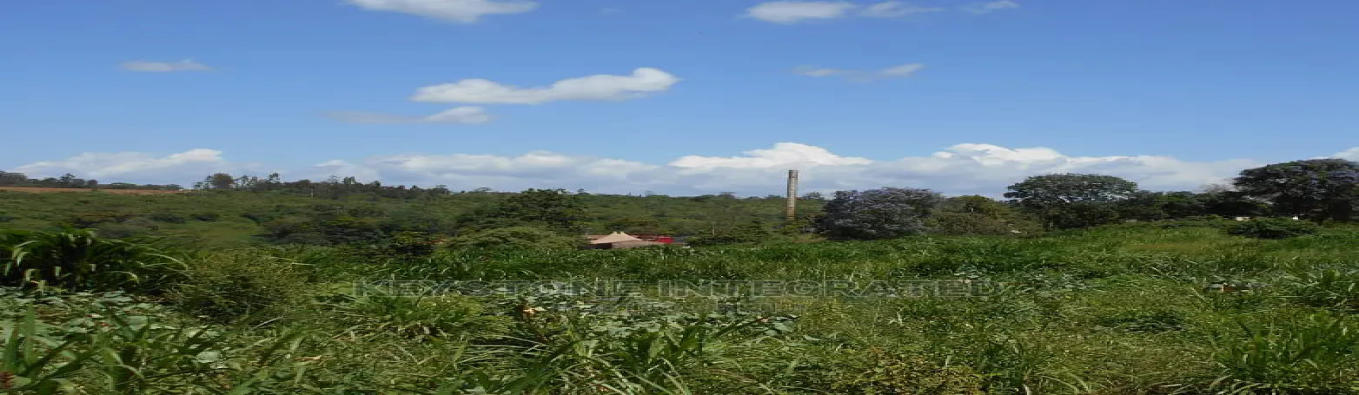 1/8 Acre Plot for Sale in Thika